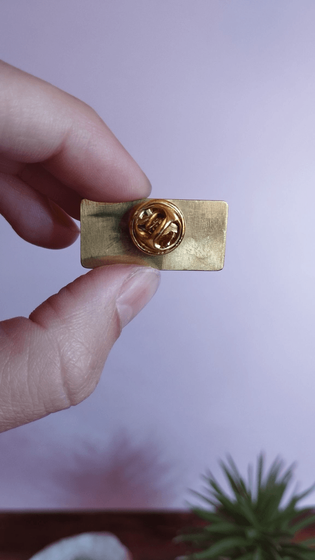 Pin's "Viser la lune"